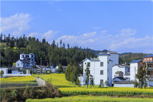 允许返乡下乡人员和当地农民合作改建自住房-摄图网