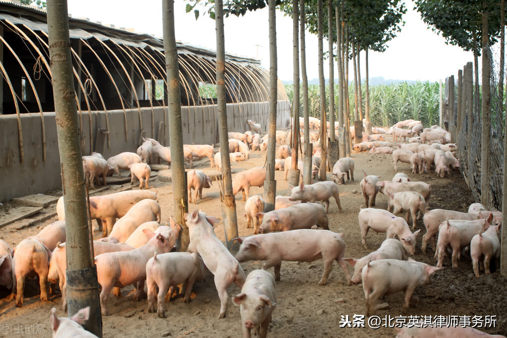    高法院案例：未办理用地手续的养殖场是否属于违法建筑？